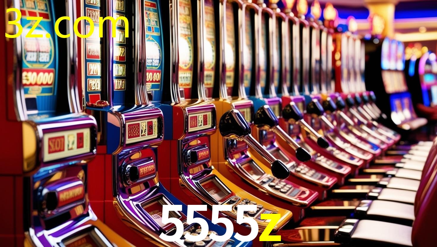 App 5555Z.COM  